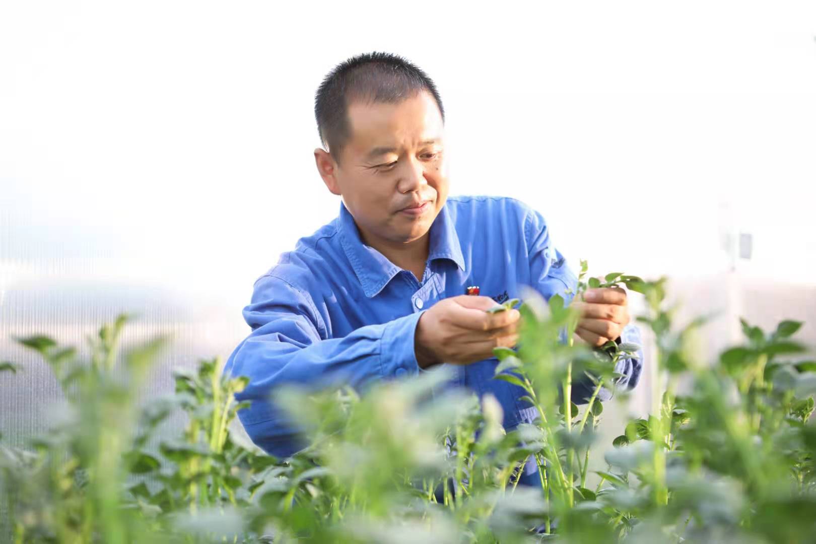 抖圈-抖圈为赌而生